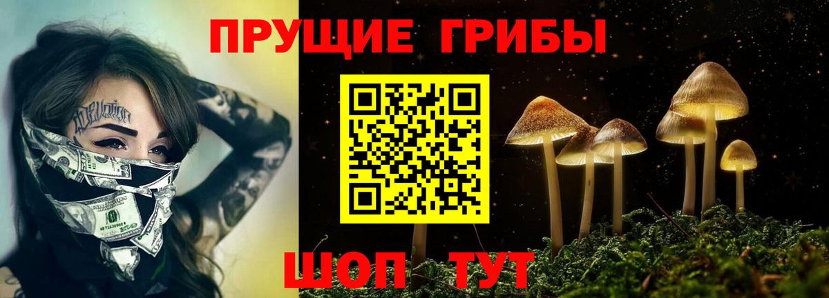 Псилоцибиновые грибы GOLDEN TEACHER Уварово